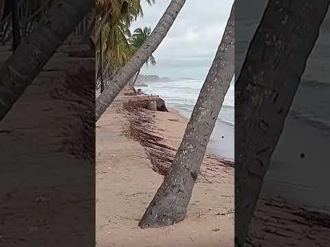 Why Chennai Can NEVER Build an Airport in the Sea