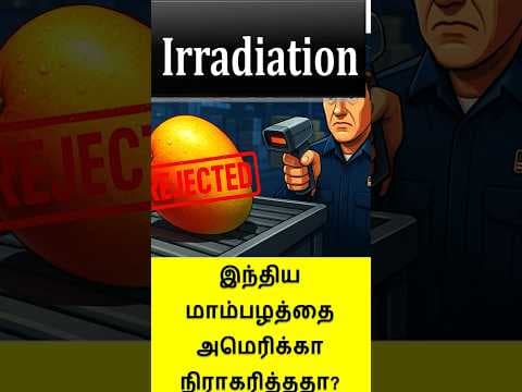 Why USA Rejected Indian Mangoes