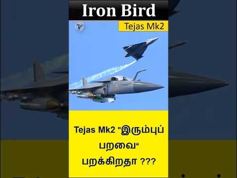 Tejas Iron Bird
