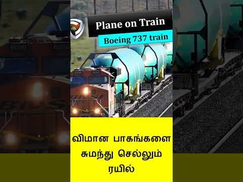 737 Plane on a train  #train #plane