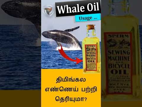 Whale Oil