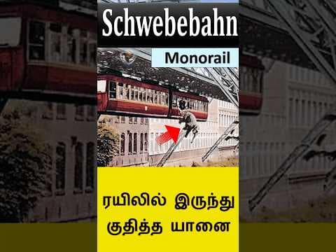 German monorail - Trufi Elephant