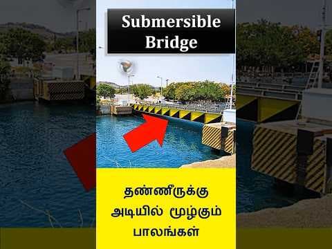 Submersible Bridge