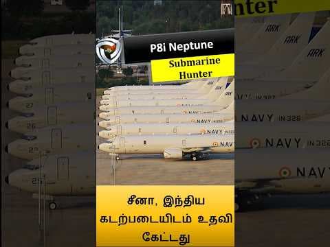 P8i - Helping Chinese