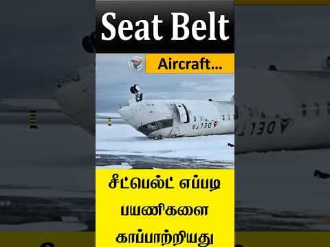Aircraft seat belt