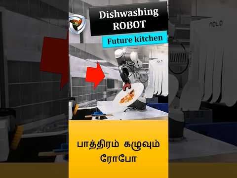 Dishwashing Robot